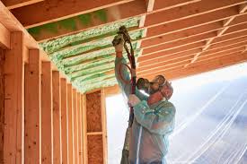 Best Soundproof Insulation  in Morgantown, WV